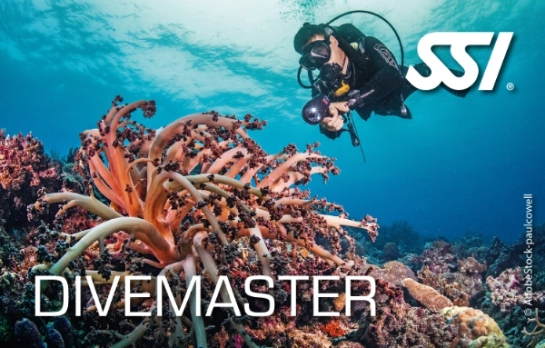 SSI Divemaster certification card
