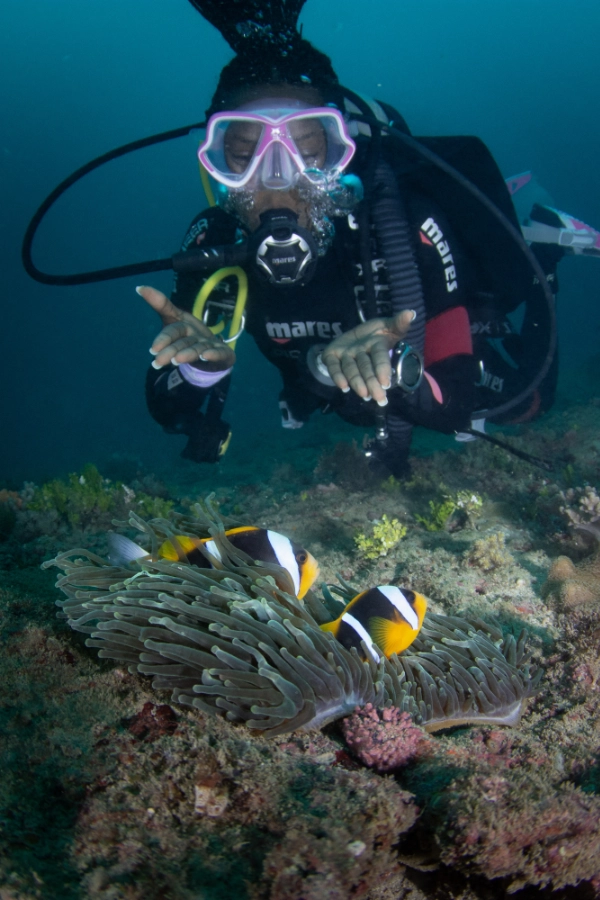 Scuba diver in Diani with Allard's Clown Fish