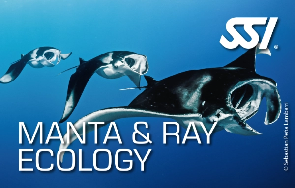 SSI Manta and Ray Ecology course card