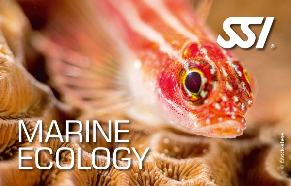 SSI Marine Ecology Specialty card