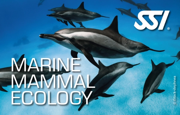 SSI Marine Mammal Ecology course card