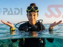 PADI IDC or SSI ITC