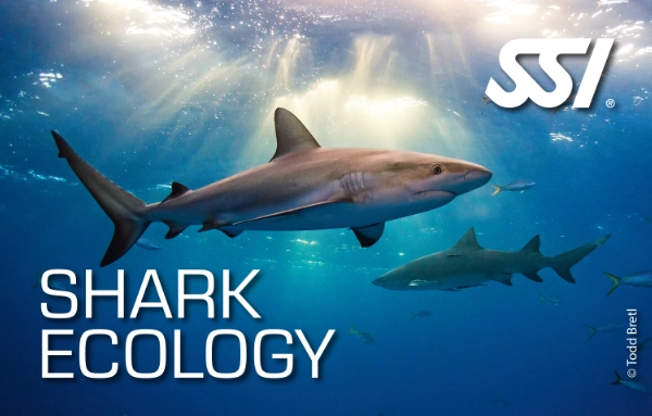 SSI Shark Ecology course card