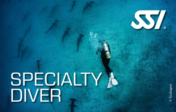 SSI Specialty Diver recognition card