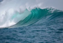 SSI Waves, Tides & Currents Specialty Course Waves Tides and Currents
