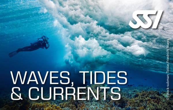 SSI Waves, Tides and Currents specialty certification card