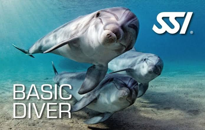 SSI Basic Diver recognition card