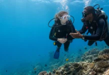 What Scuba Diving Courses Should I Take First? Scuba Diving