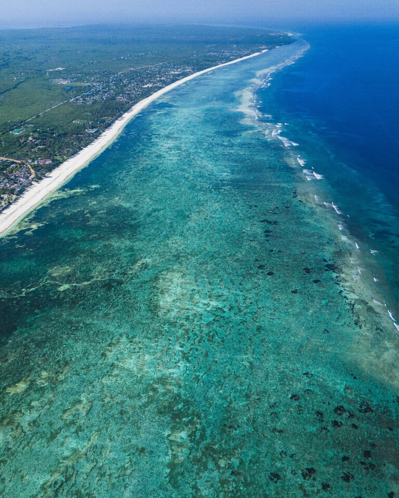 Diani lagoon, the location of the monthly cleanup