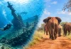 Escape the Cold: A Kenya Dive and Safari Holiday with Ocean Tribe Dive and Safari this winter