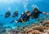 Half-Term Activities in Diani: Diving Adventures with Ocean Tribe Half Term Diving