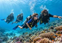 Half-Term Activities in Diani: Diving Adventures with Ocean Tribe Half Term Diving