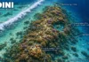 Jadini Jadini dive site Diani
