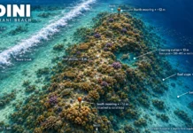 Jadini Jadini dive site Diani