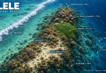 Milele Milele dive site Diani