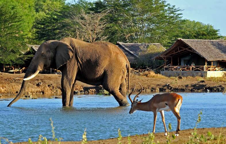 Satao Camp in Tsavo East