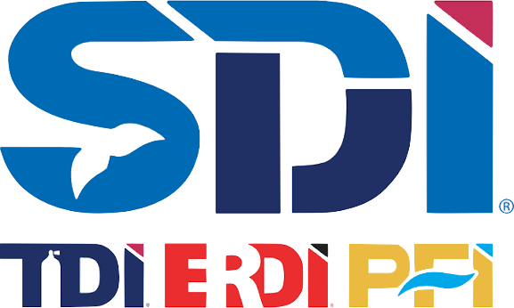 SDI