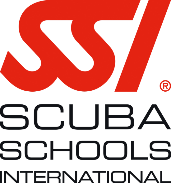 SSI