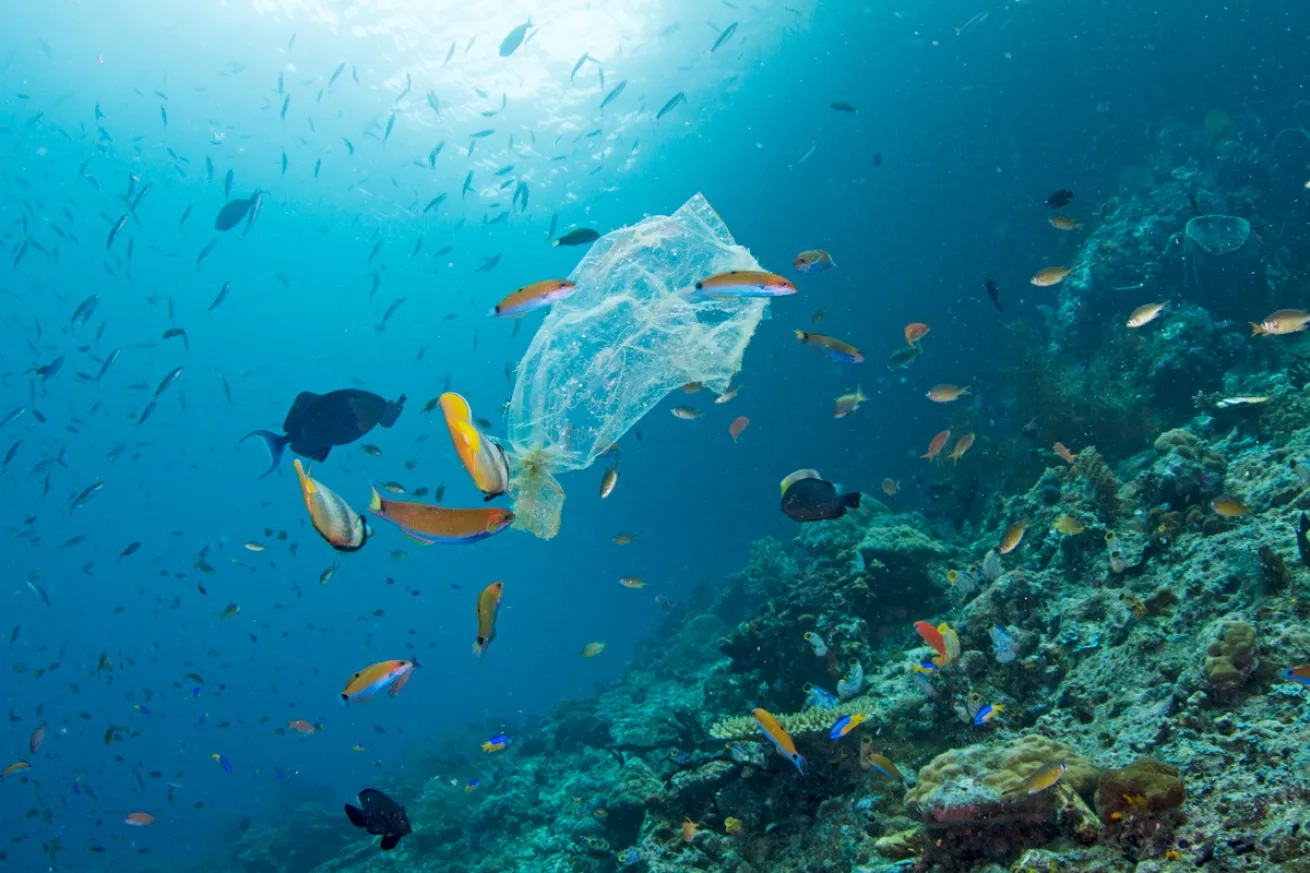 Discarded waste underwater highlighting the purpose of the lagoon cleanup