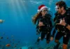 Christmas offer