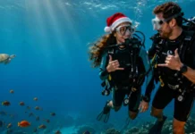 Christmas offer