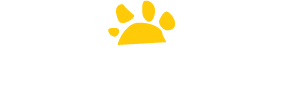 Leopard Beach Resort & Spa logo